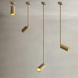 Nordic Ceiling hanging lamp luminaire Gold E27 Long arm led Spotlights Rotatable Living room lamp Restaurant bedroom pendant Lig