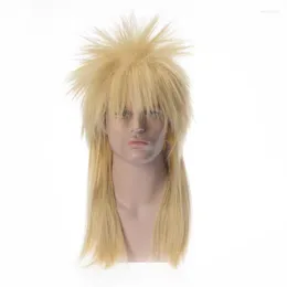 Syntetiska peruker fgy europeiska och amerikanska mäns gyllene långa raka hår med lugg peruk 70 -tal 80 -tal cosplay punk rock kend22
