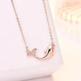 Chains Fashion Silver Plated Cute Dolphin Statement Necklace Cubic Zirconia Whale Pendant Necklaces Jewelry
