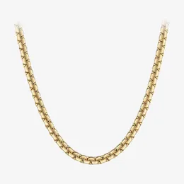 Hänghalsband rostfritt stål guldfärg rund låda struktur kedjor mode smycken krage para mujer 220427
