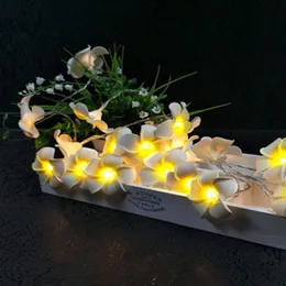 Strängar LED 10/20/40LEDS Flowers Frangip String Lights Battery Operated Floral Holiday Garland för julbröllopshändelse Party Art Decorle