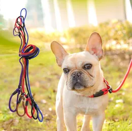 Guinzagli per cani Golden Teddy Dog Traction Rope Chain Collare per cani grande P Guinzaglio per cani Confortevole guinzaglio in nylon per cani di taglia piccola e media
