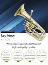 Baritones Tubas Vitio Tenor Professional Grade Viton Tenor 악기