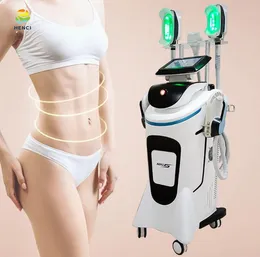 脂肪凍結ボディスリミングマシンcryolipolysis 2in1 360 cryo ems emslim cryo凍結装置RF皮膚締め付け