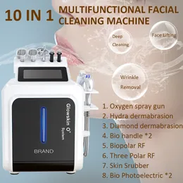 Bärbar 10 i 1 vatten dermabrasion Microdermabrasion Deep Cleansing Acne Borttagning Skin Rejuvenation Beauty Salon Equipment