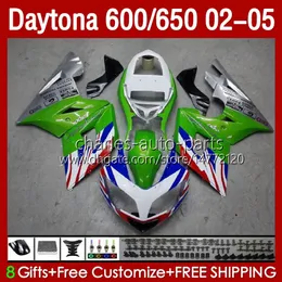 Kroppskit för Daytona 600 650 CC Daytona650 02-05 Cowling 104HC.36 Daytona600 2002 2003 2004 2005 Glansiga gröna Bodys Daytona 600 02 03 04 05 Full Fairings