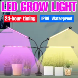 تنمو أضواء فيتولامب للنباتات LED طيف كامل مع تحكم فيتو مصباح الدفيئة الزراعة المائية بذور الزهور الداخلية