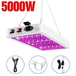 LED Grow Light 4000W 5000W 전체 스펙트럼 성장 가벼운 실내 식물 커버리지 온실을위한 햇볕에 높은 높이