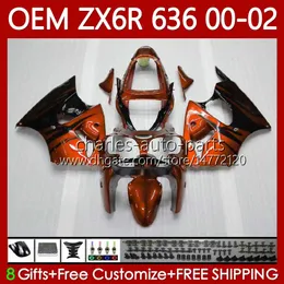 Einspritzverkleidungen für KAWASAKI NINJA Orangeflames ZX-6R ZX 6R 600 CC 6 R ZX-636 ZX636 2000 2001 2002 Karosserie 133No.113 ZX 636 600CC ZX600 ZX-600 00-02 ZX6R 00 01 02 OEM-Karosserie