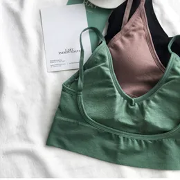 Sexy Solid Women Sports Bra Tops Tops Tops Sport Push Up Bralette 220712