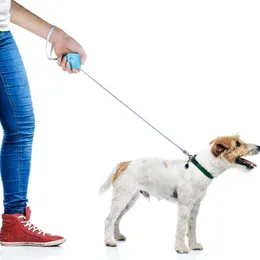 Collari per cani Guinzagli Pet Outdoor Walking Traction Rope Supplie Mini guinzaglio retrattile automatico per cani di taglia piccola e media