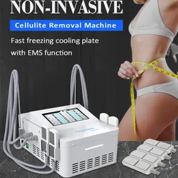휴대용 cryolipolysy EMS 바디 빌딩 기계 체중 Loscryo Fat Freeze Machine