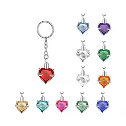 심장 모양 크리스탈 펜던트 기념식 키 체인 화장 인간 애완 동물 재를위한 항아리 eshes kiefsake key ring jewelry