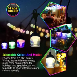Strings LED Light With 12 Colors Adjustable Smart Voice Control Colorful Bulbs For Indoor Party Outdoor Patio Garden DecorLED