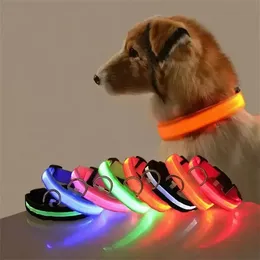 Neues LED-Haustier-Hundehalsband, Nachtsicherheits-LED-Licht, Nylon, blinkend, im Dunkeln leuchtend, für kleine Hunde, Haustierleine, Hundehalsband, blinkendes Sicherheitshalsband