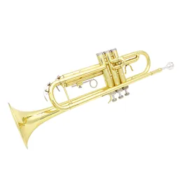 Trompete bb b plana banhado prateado requintado bocal de bocal de limpeza de pano luvas de tira instrumentos de bronze instrumentos musicais instrumentos musicais