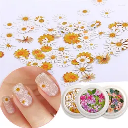 Nail Glitter DIY Manicure Daisy Flowers Designs Romantic Rose Flakes Holographic Paillettes Ultrathin Art Sequins Prud22