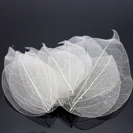 Lucia Crafts 36pcs  Bag Multi-Color Flower Natural Skeleton Leaf Dry Leaves Scrapbooking Girl DIY Material