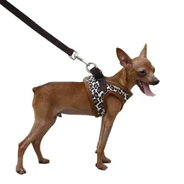 Hundhalsar Leashes Leopard sele för små hundar nylon chihuahua yorkie väst valp husdjur katt som går utan koppelprodukterhund