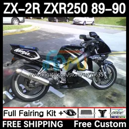 Kawasaki Ninja ZX 2R 2R R250 ZXR 250 ZX2R ZXR250 1989 1990 gövdeli 8dh.42 ZX-2R ZXR-250 89-98 ZX-R250 ZX2 R 89 90 Motosiklet Kaplaması Siyah Silvery