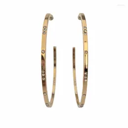 Hoop & Huggie F/W Trendy Women Elegant Earrings Gold Color Plating Mediium Size With Stone Paving For Party Casual JewelryHoop Indu22