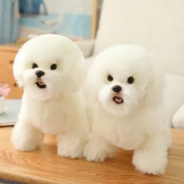 Söt och realistisk Bichon Frise plysch leksak liten simulering hund djur docka flicka hem dekoration barn kreativ exqui julklapp w220402