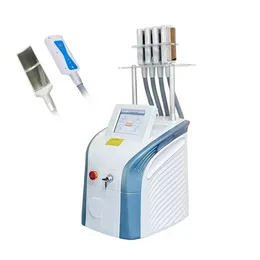 Máquina de congelamento de gordura Cryo Lipólise Cryolipólise Peso Reduzir máquinas de equipamentos