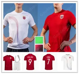 22 23 Norwaies voetbalshirts 23 Haaland Noruega 10 Odegaard Berge King Sorloth Camisetas 2022 2023 Nationaal Team voetbalshirt Men S-XX