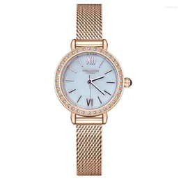 Orologi da polso Lussuosi orologi da donna Moda Sport Cinturino in maglia Orologio da donna Masculino Casual Orologio al quarzo Diamond Hombr Regali per ragazze