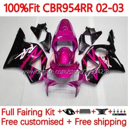 Spritzgussform für HONDA CBR 954 900 RR CC CBR900 CBR954 RR 02-03 Körper 116No.48 CBR 900RR 954RR 900CC CBR954RR 02 03 CBR954-RR CBR900RR 2002 2003 OEM Verkleidung rosa rosa