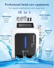 10 in 1 Hydra Dermabrasion Skin Care Care Salon Beauty Equipment Spa Aqua Hydro Water Peeling Machine Hydrodermabrasion Facial Device