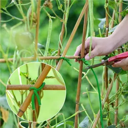 庭の植物ネクタイのためのヤーンワリのガジェット頑丈な柔らかい再利用可能な花のケーブルのトマトの登山のサポート326