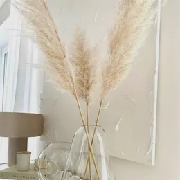 80 CM Naturalne Duże Pampas Trawa Puszysty Reed Suszone Kwiaty Bukiet Duży Pampas Wedding Flowers Decor Strona główna Dekoracja świąteczna 220408