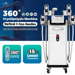 360 CRYOLIPOLYS Cellulitreduktion Kroppsbantning och Double Chin Borttagningsmaskin Cryo Therapy för fet liposunktion