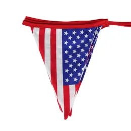 パーティーデコレーション 12 フラグ アメリカ USA フラグ 建国記念日 星条旗バナー ペナント ガーランド ホオジロ ビジネス 選挙 会議装飾
