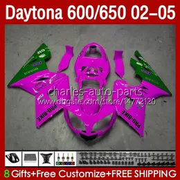 Daytona 650 600 CC 2002 2003 2004 2005ボディ132NO.97カウリングローズグリーンデイトナ650 02-05 Daytona600 Daytona 600 02 03 04 05 ABSオートバイフェアリング