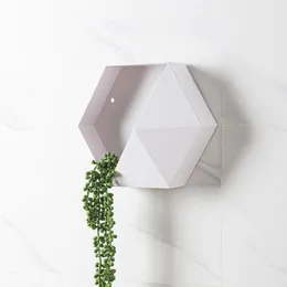 Vases Nordic Geometric Hexagon Wall Flowerpot Storage Rack Shelf Creative Hanging Flower Pot Garden Basket For Home Decorative