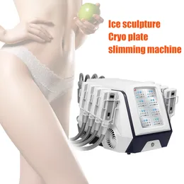 New Portable Cryo 360 Cryolipolysis Slimming Machine Fat Removal cryoskin 8 Plates