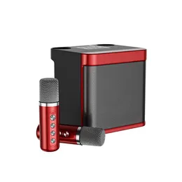 100W YS-203 Electronics portable professional karaoke dual microphone Bluetooth-compatible speaker smart external karaoke device