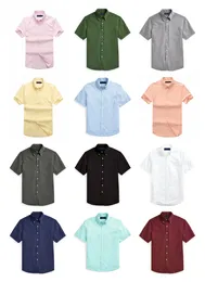 Camisas masculinas feminino t cor sólida cor pequena manga curta bordado colorido cavalo plus size masculino clássico de camiseta de camiseta de negócios lapela slim