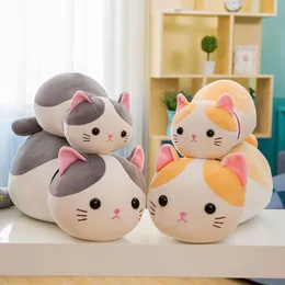 Plush toy software cat teacher doll cute kitten doll girls like gifts