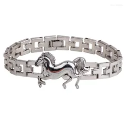 Trendy Stainless Steel Fantasy Animal Horse Charm Bracelet For Men Boy Jewelry Gift Wholesale Link Chain