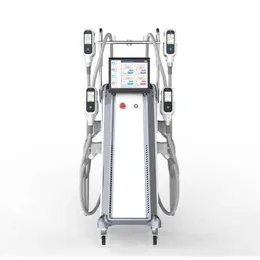 A escultura corporal Slimming Cryo Exercício Tratamento de resfriamento A gordura congelada Reduce o equipamento de crioterapia para reduzir a beleza da barriga queima de gordura