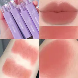 Lip Gloss Velvet Wet Makeup Matte Mud Glaze Milk Coffee Lipstick Long Lasting Moisturizing Korean CosmeticsLip Wish22