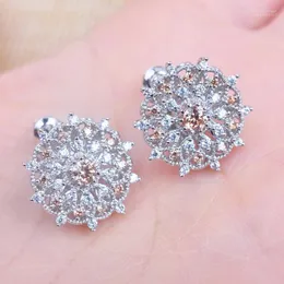 Stud Russian Style Wedding Jewelry Earring Champagne Cubic Zirconia For Women Crystal Earrings 2022 1