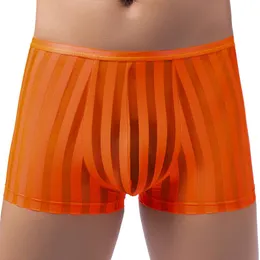 Underbyxor smarta-menmode män mesh boxers transparent underkläder sexiga trosor stammar låg stigning knickers snabba torra shorts stripedunderbyxor