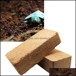 Coconut Fiber Substrate Bricks Cocopeat Lizard Sköldpadda Reptil Naturlig Coco Coir Jord för terrarium Fisk Tank Tillbehör Drop Leverans 2021