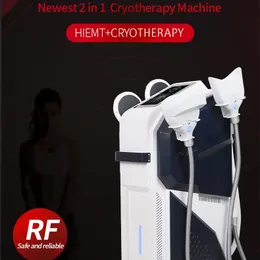 krioterapia emslim 2 w 1 maszyna do odchudzania 360 kriolipoliza Fat Fat Freeze EMS Rzeźba mięśniowa Buduj mięsień hi-emt biodro