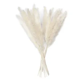 Flores decorativas grinaldas de junco de pampas secas pampas phragmites bando de casamento de casamentos decoração de decoração decoração decoração decoratat