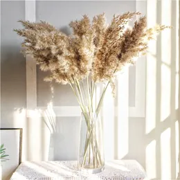 Decorative Flowers & Wreaths 5/10Pcs Natural Real Dried Pampas Grass Bouquet Fluffy Feather Wedding Special Flower Ceremony Decoration Moder